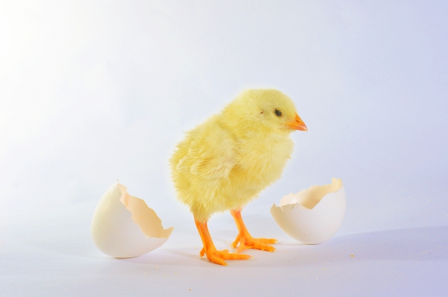 真のあなたらしく生きることが豊かさに導かれる牡牛座満月