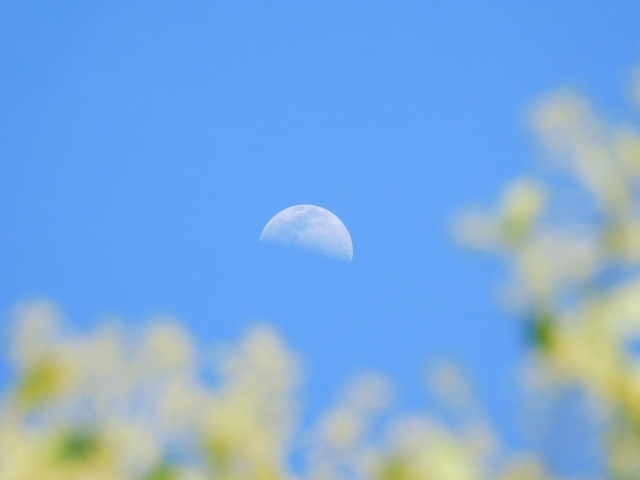 5月26日は射手座の満月（スーパームーン）：皆既月食